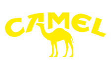 camel